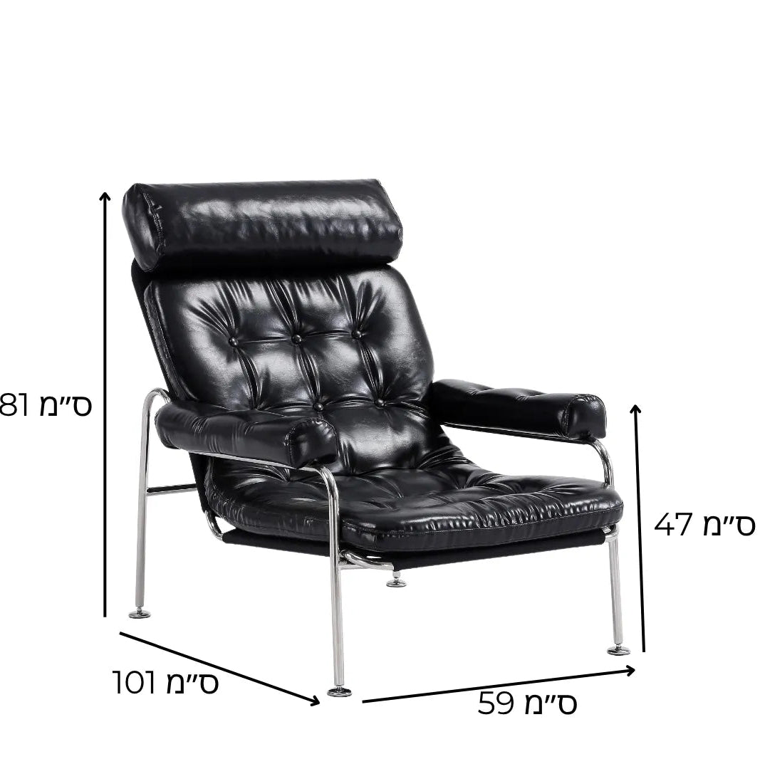 תיאו שחור מידות